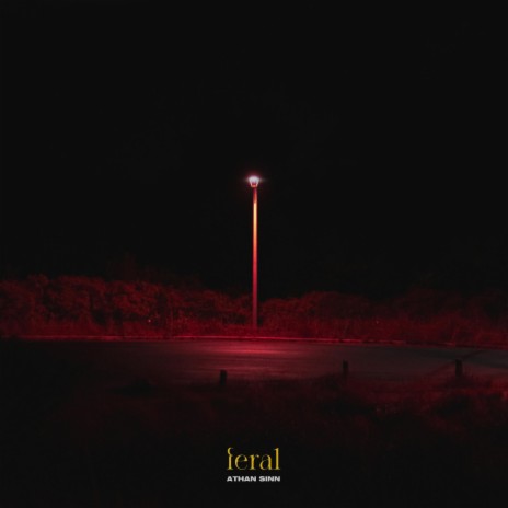 Feral | Boomplay Music