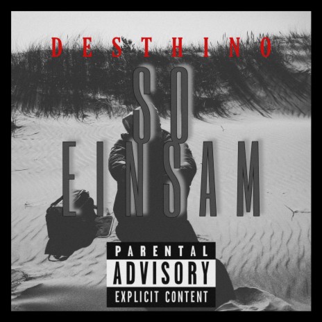 SO EINSAM | Boomplay Music