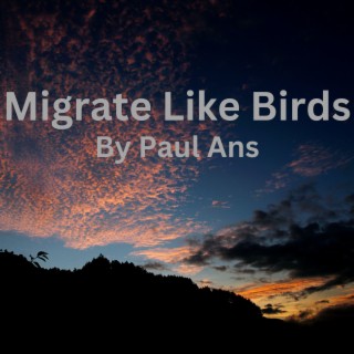 Migrate Like Birds