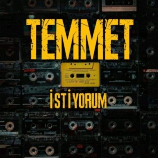 The TemmeT