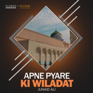 Apne Pyare Ki Wiladat Lofi