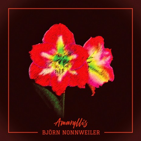 Amaryllis | Boomplay Music