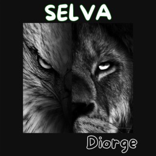 SELVA