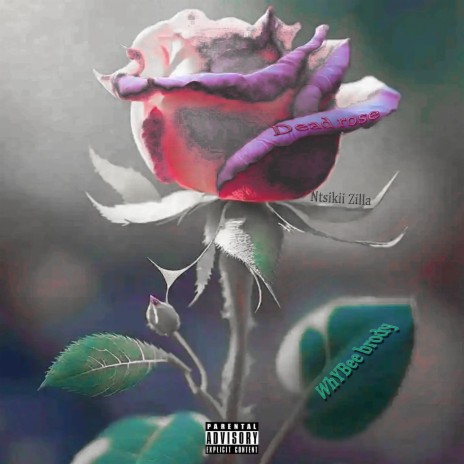 Dead rose ft. Ntsikii Zilla | Boomplay Music