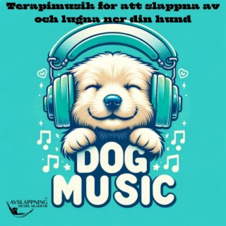 Terapimusik för att slappna av och lugna ner din hund: Adoption av en hund i ett nytt hem (Dog Music)