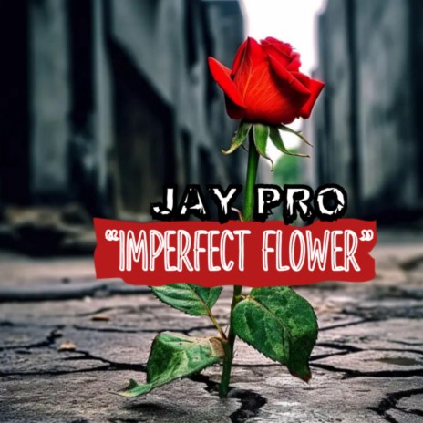 IMPERFECT FLOWER | Boomplay Music