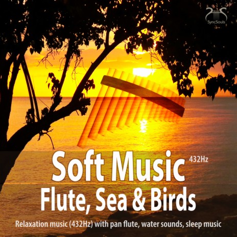 Soft Music Flute, Sea and Birds - Relaxation Music (432Hz) with Pan Flute ft. SyncSouls & Max Relaxation | Boomplay Music