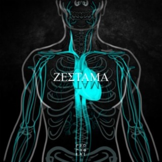 Zestama