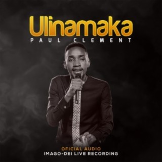 Ulinamaka lyrics | Boomplay Music