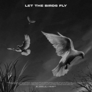 LET THE BIRDS FLY