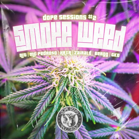 Smoke Weed ft. Nit San, Mc Pedro$o, HAXA, Zairald & Bergg | Boomplay Music