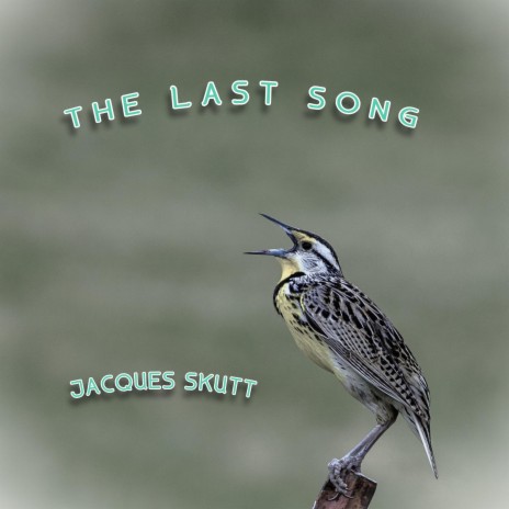 The Last Song | Boomplay Music