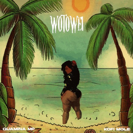 Wotowei ft. Kofi Mole | Boomplay Music