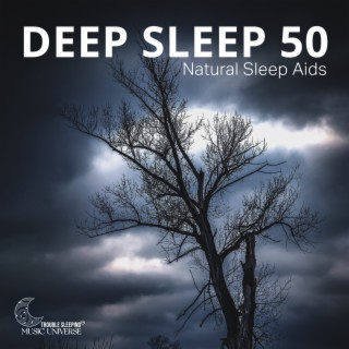 Deep Sleep 50: Natural Sleep Aids, Sleeping Through the Night, Calm Relaxation Music for Trouble Sleeping, Therapy Sounds for Better Sleep at Night