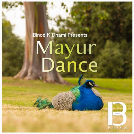 Mayur Dance