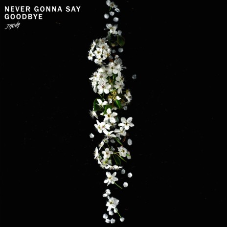 Never Gonna Say Goodbye | Boomplay Music