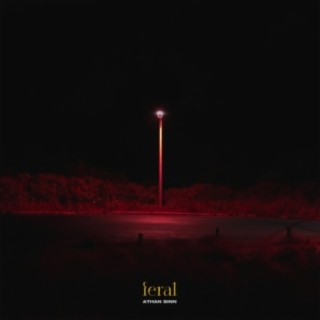 Feral