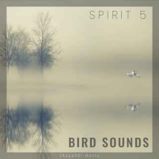 Bird Sounds