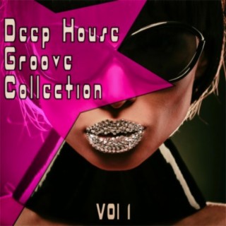 Deep Grooves Collection, Vol. 1 - the Finest Deep House Grooves
