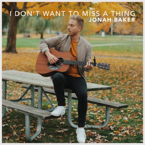 I Don't Want to Miss a Thing (Acoustic) | Boomplay Music