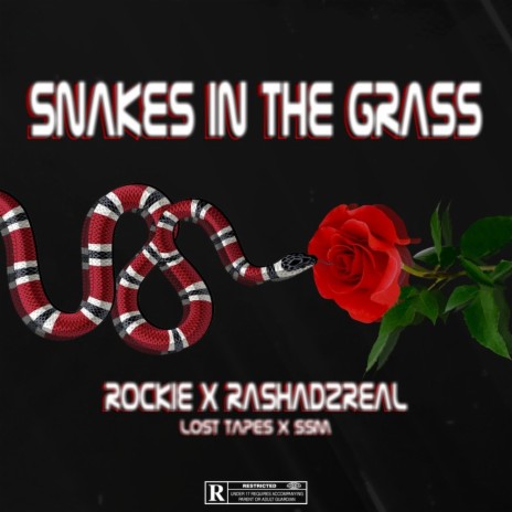 Snakes in the grass ft. Rashad2Real | Boomplay Music