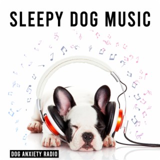 Dog Anxiety Radio