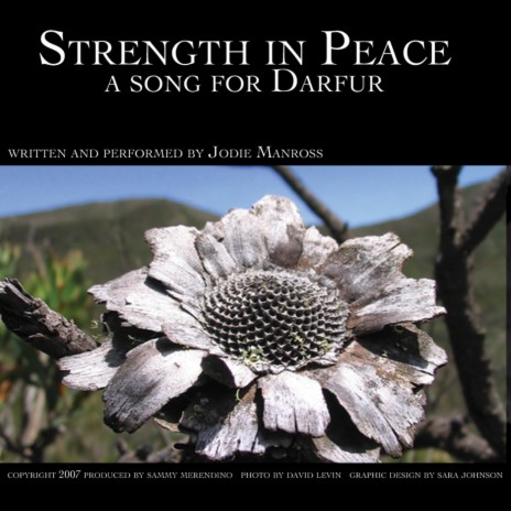 Strength in Peace: A Song for Darfur | Boomplay Music