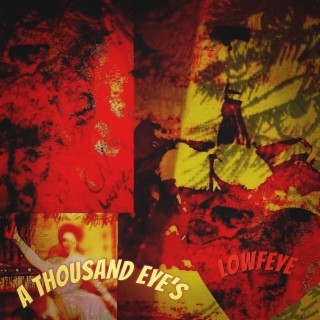 A THOUSAND EYE'S