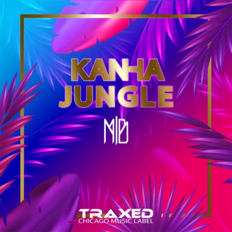 Kanha Jungle