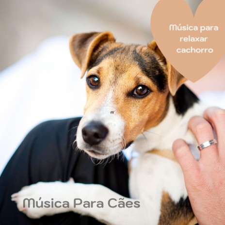 Música pro cãozinho dormir | Boomplay Music