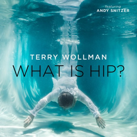 What Is Hip? ft. Andy Snitzer | Boomplay Music