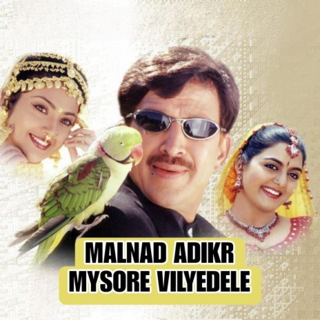 Malnad adike mysore vilyedele | Boomplay Music