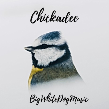 Chickadee | Boomplay Music
