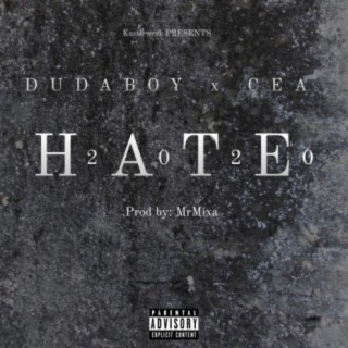 Hate (feat. CEA)