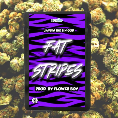 Fat Stripes | Boomplay Music