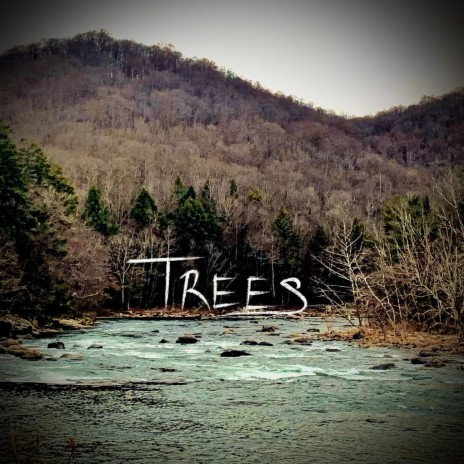 Trees | Boomplay Music