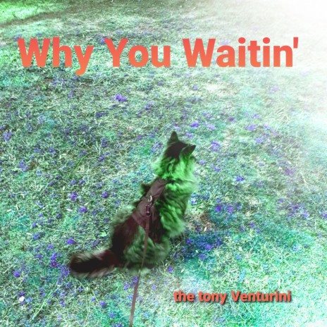 Why You Waitin' | Boomplay Music