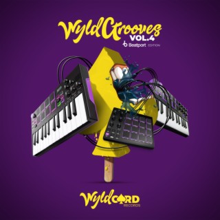 WyldGrooves Vol.4