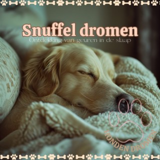Snuffel dromen: Ontdekking van geuren in de slaap