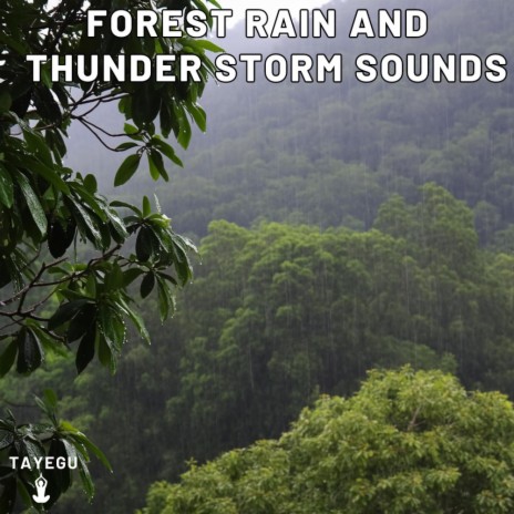 Forest Rain and Thunder Storm Sounds Crow Bird 1 Hour Relaxing Nature Ambient Yoga Meditation Sounds For Sleeping Relaxation or Studying