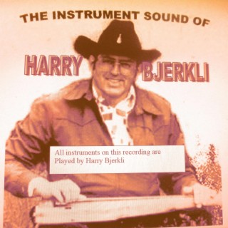 The instrumental sound of Harry Bjerkli