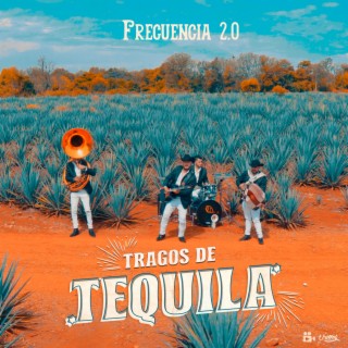 Tragos De Tequila