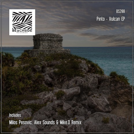 Rise (Milos Pesovic Remix)