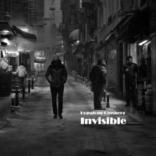 Invisible