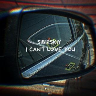 I Can't Love You
