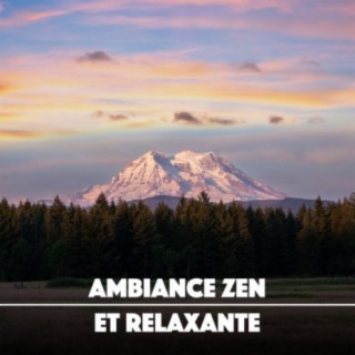 Ambiance Zen et Relaxante