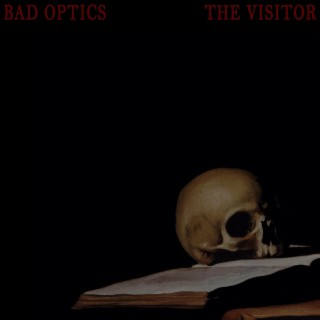 The Visitor lyrics | Boomplay Music