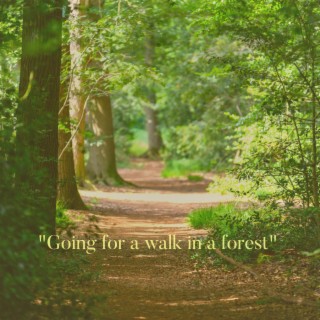 Going For A Walk In A Forest