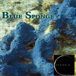 Blue Sponge