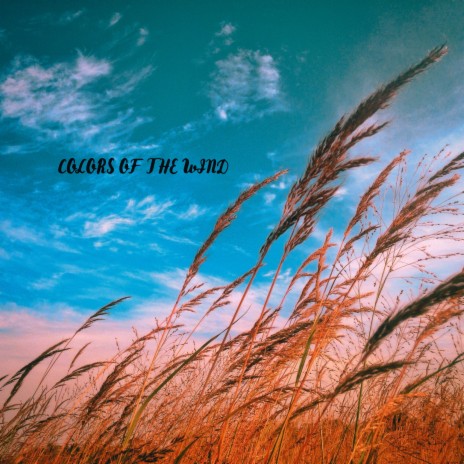 Colors Of The Wind | Boomplay Music